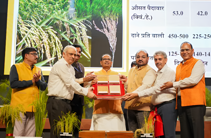 India Leads the Way: The World's First Genome-Edited Rice Varieties genome-edited rice publication