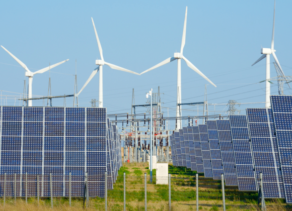 The rise of bioenergy: Sustainable or controversial? Sustainable bioenergy